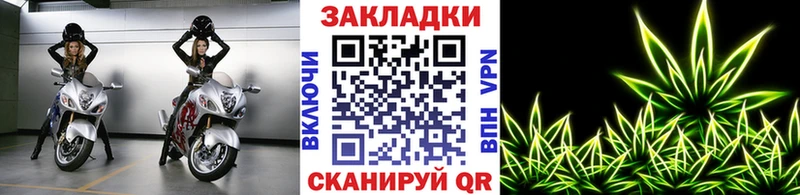 Кодеин Борзя