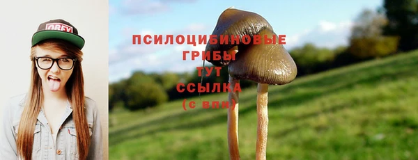 МДПВ Балахна