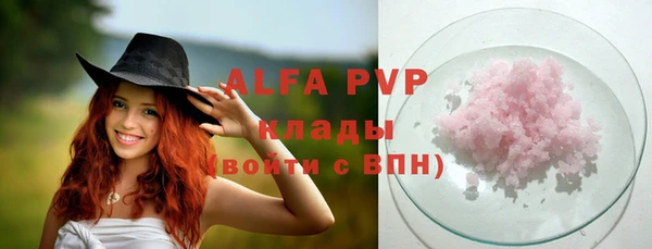 стаф Аркадак
