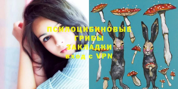 гидра Балабаново